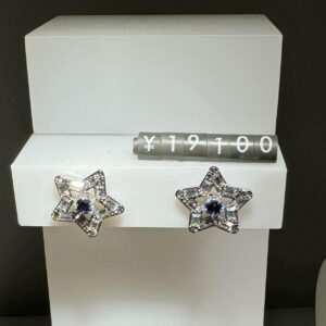 SWAROVSKI 施華洛世奇 大星星中間藍水晶系列 耳環 銀