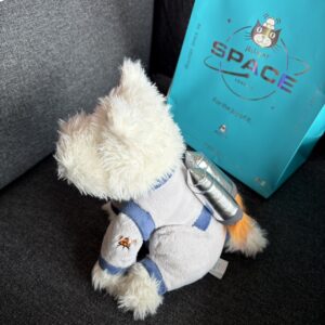Store 1133 首爾限定🇰🇷太空系列 狗狗太空人娃娃